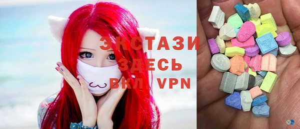 стаф Богородицк