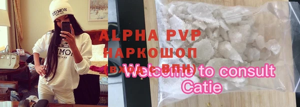 стаф Богородицк