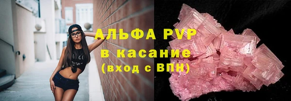 стаф Богородицк