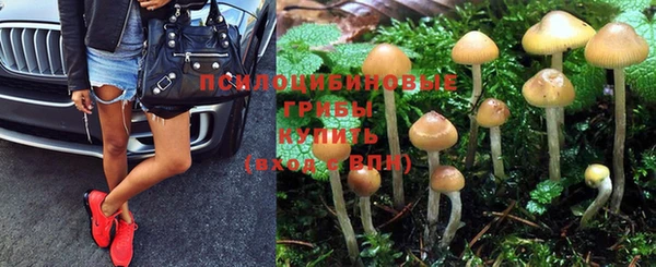 mix Богданович