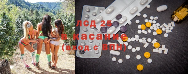 стаф Богородицк