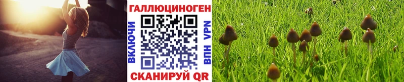 Галлюциногенные грибы ЛСД Александровское
